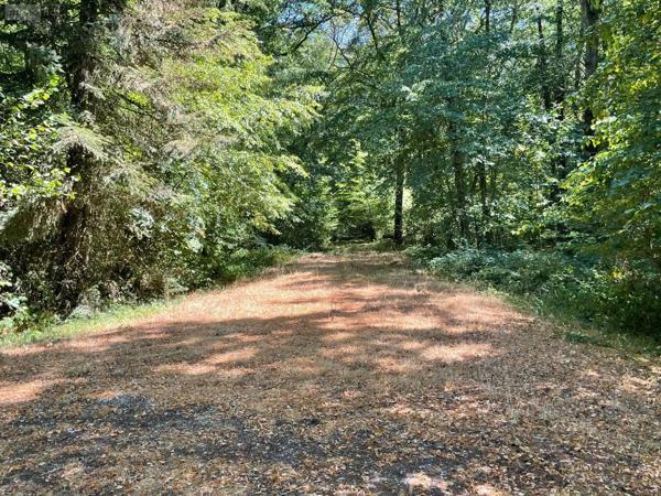 Achat - Terrain de loisirs, bois, étangs Alençon 61000 299300 m 2