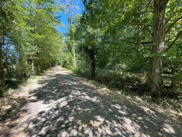 Achat - Terrain de loisirs, bois, étangs Alençon 61000 299300 m 2