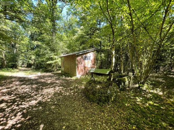 Achat - Terrain de loisirs, bois, étangs Alençon 61000 299300 m 2