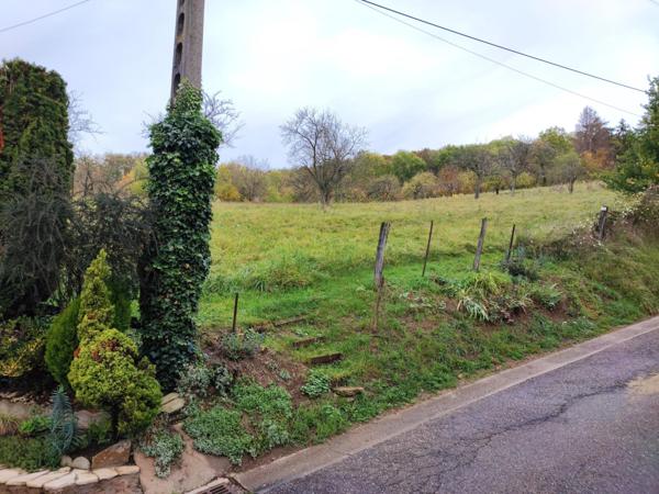 TERRAIN A BATIR 2 264 m2 - MOULINS (Bouxières-aux-Chênes)