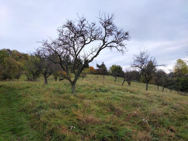 TERRAIN A BATIR 2 264 m2 - MOULINS (Bouxières-aux-Chênes)