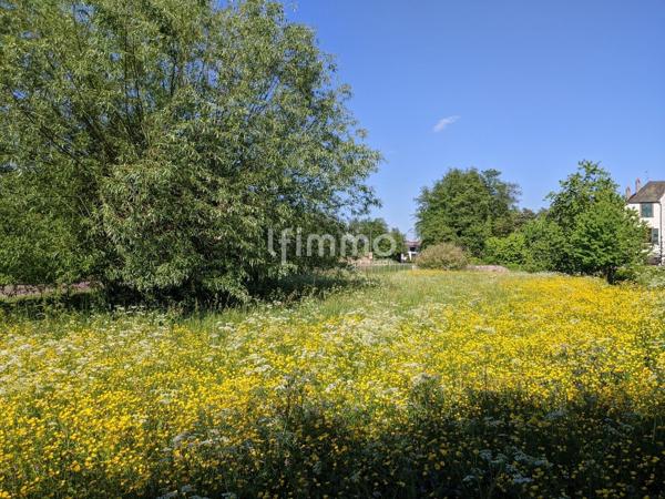 Terrain à bâtir 647 m² Woerth
