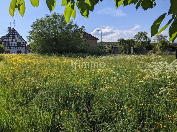 Terrain à bâtir 647 m² Woerth