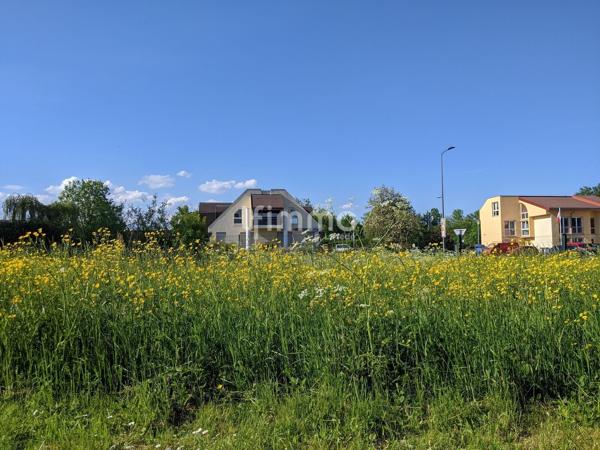 Terrain à bâtir 647 m² Woerth