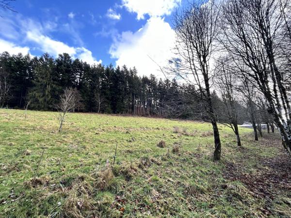 Vente Terrain 6417 m2 à Moyenmoutier