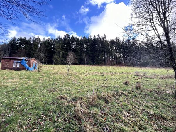 Vente Terrain 6417 m2 à Moyenmoutier