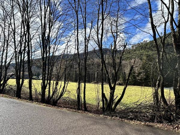 Vente Terrain 6417 m2 à Moyenmoutier