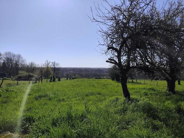 MAISON DE CAMPAGNE A RENOVER - TERRAIN ATETNANT