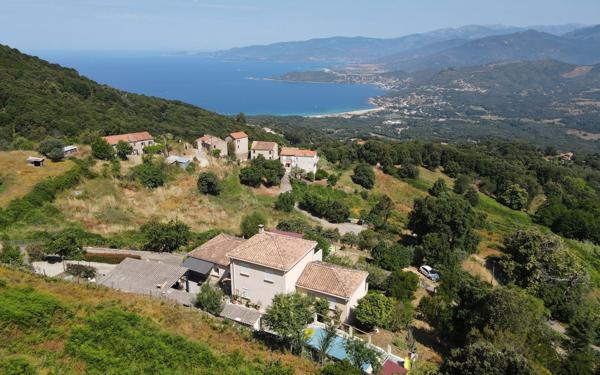 Maison à vendre    5 pièces • 179,61 m2 Calcatoggio