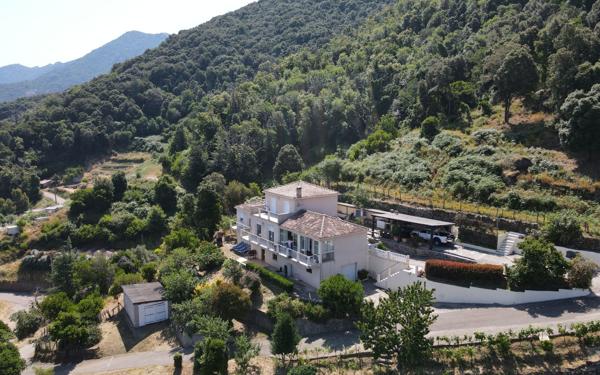 Maison à vendre    5 pièces • 179,61 m2 Calcatoggio