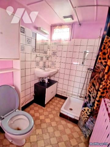 Vente Maison à L'Isle-sur-le-Doubs