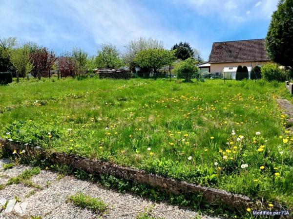 Vente Maison à L'Isle-sur-le-Doubs