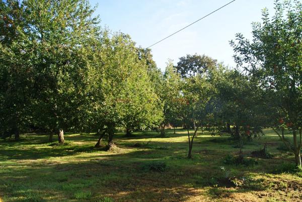 AUX PORTES DE BROCELIANDE