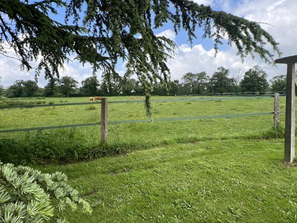 Exploitation agricole d'une superficie totale de 165 hectares avec des sources d'eau
