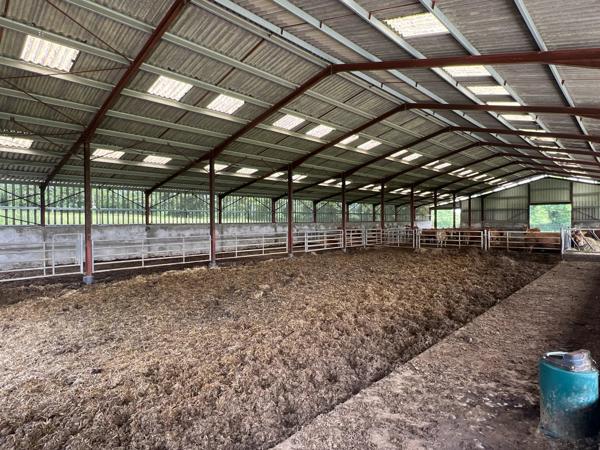 Exploitation agricole d'une superficie totale de 165 hectares avec des sources d'eau