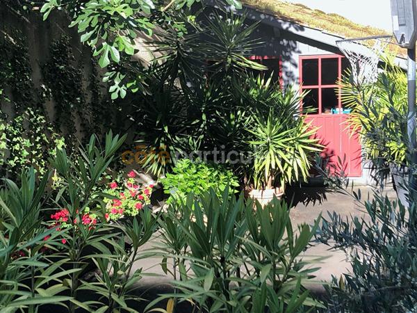 Vente
                Maison265 m² - 7 Pièces -
                    PUYMIROL (47270)