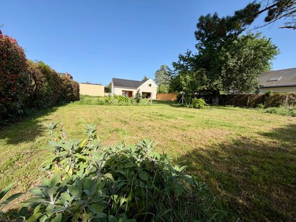 Maison à vendre 10 pièces TIERCE (49)
