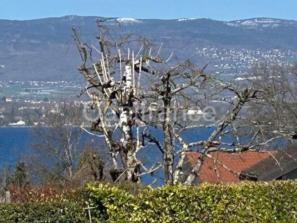Parcelle constructible de 1650m² située au pied du Lac LEMAN (74)