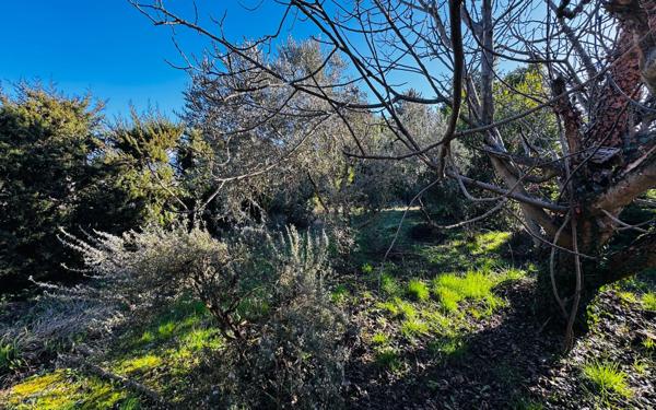 Maison à vendre    4 pièces •  Mazan