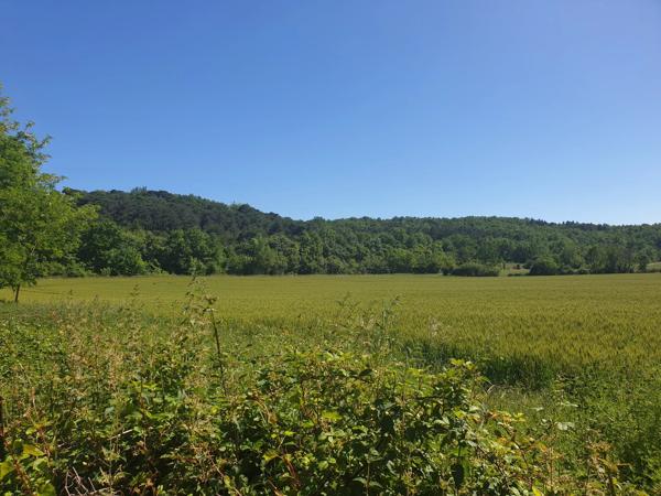 Un havre de paix au potentiel illimité, offrant 3 logements sur plus de 2 hectares de terrain