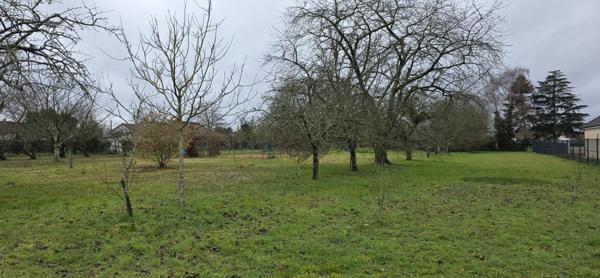 Terrain à ARDENTES (36120)