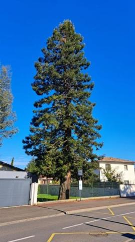 33185 LE HAILLAN METROPOLE BORDEAUX MAISON PLAIN PIED 120 m2