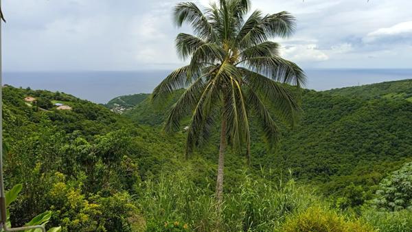 Achat maison Case-Pilote - 9 pièce(s) - 795 000 €