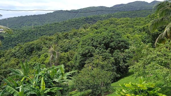 Achat maison Case-Pilote - 9 pièce(s) - 795 000 €