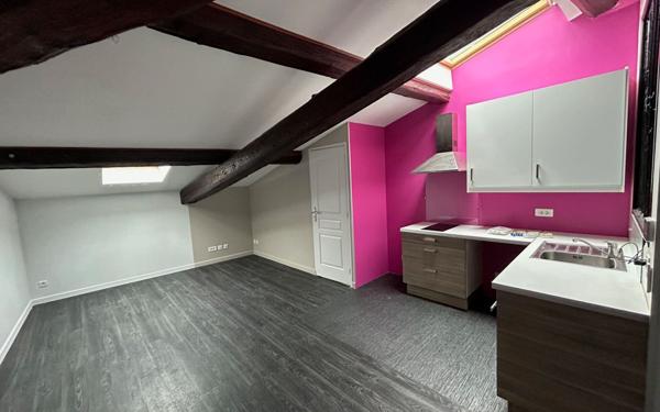 Appartement à louer    3 pièces •  Les Roches-de-Condrieu