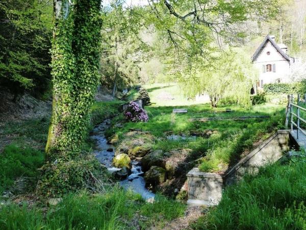 RARE:  Moulin auvergnat authentique au bord d'un ruisseau.