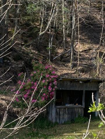 RARE:  Moulin auvergnat authentique au bord d'un ruisseau.