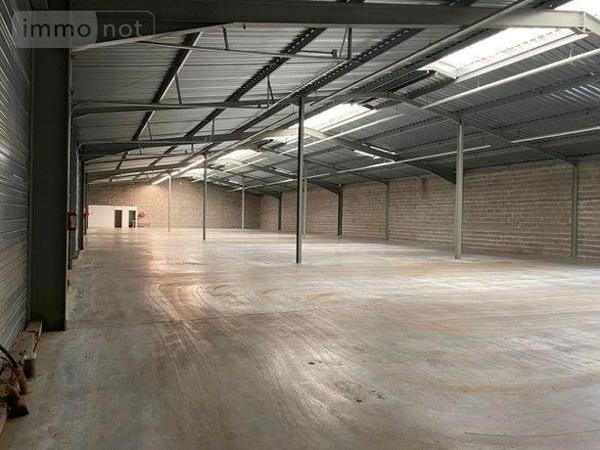 Local professionnel à vendre à Notre-Dame-d'Oé dans l'Indre-et-Loire (37390), ref : 37072-637