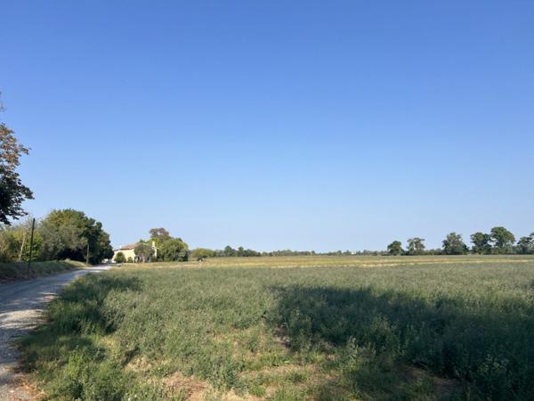 Aux portes de Bordeaux – Propriété de 15 hectares avec maison