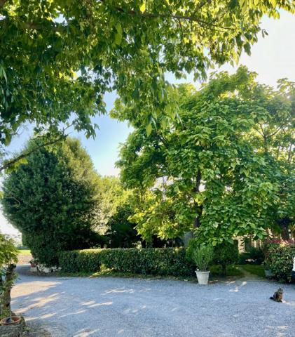 Aux portes de Bordeaux – Propriété de 15 hectares avec maison