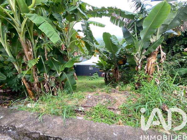 Terrain à vendre 998 m² Entre-Deux