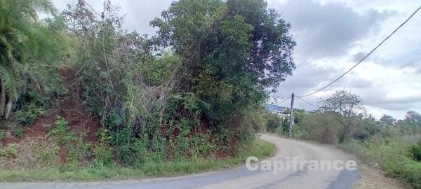 Terrain à bâtir de 7647 m² à vendre DEMBENI (976)
