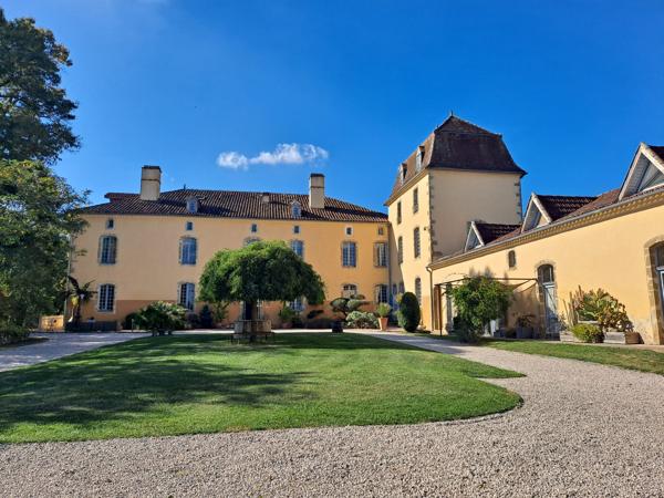 Château de charme avec vue sur les Pyrénées, parc et dépendances