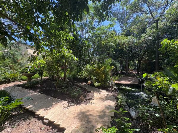 Charmante maisonnette de 35 m² et T3 de 70m2 avec jardin arboré de 650 m² – Fréjus