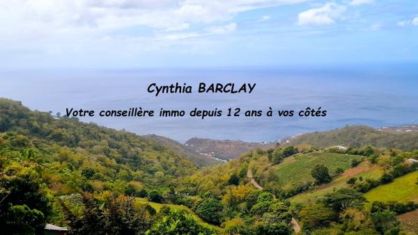 Maison à BELLEFONTAINE (97222)