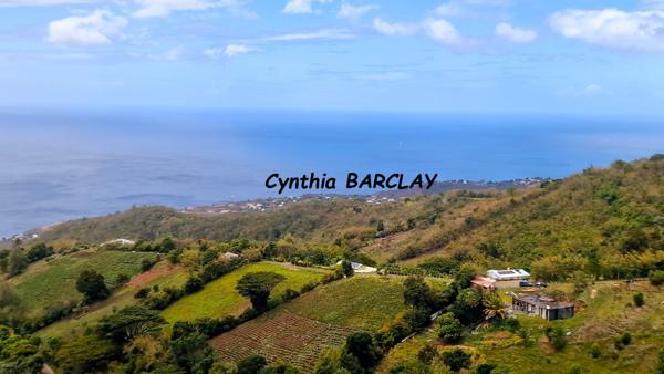 Maison à BELLEFONTAINE (97222)