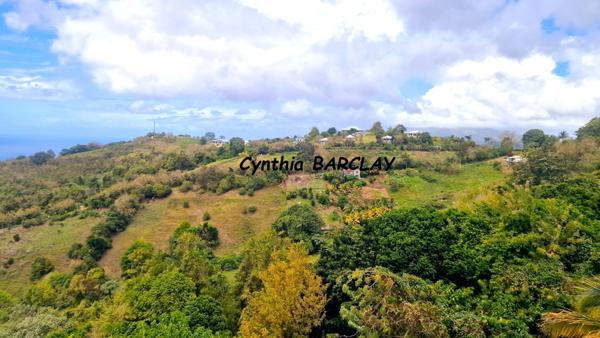 Maison à BELLEFONTAINE (97222)