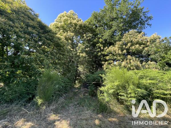 Maison à vendre 6 pièces 90 m² Châteauneuf-la-Forêt