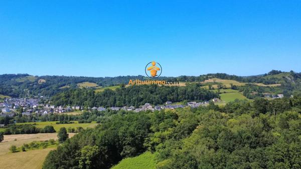 Vente                                                      Maison
                        
                     15 pièces                      326 m2                     à Saint-Pé-de-Bigorre
