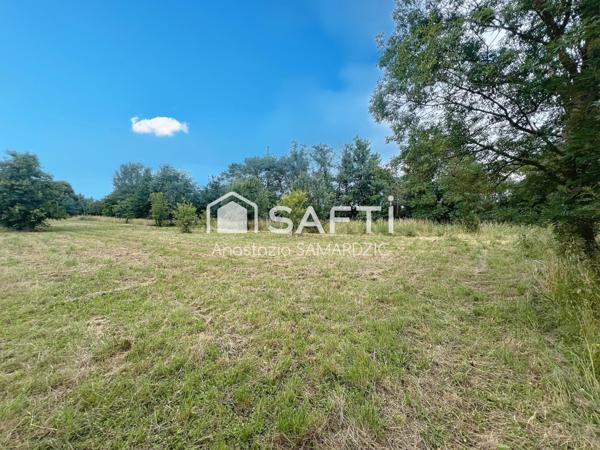 Terrain d’exception à Toulouse : 3 861 m² viabilisé, borné, avec potentiel de construction R+1.