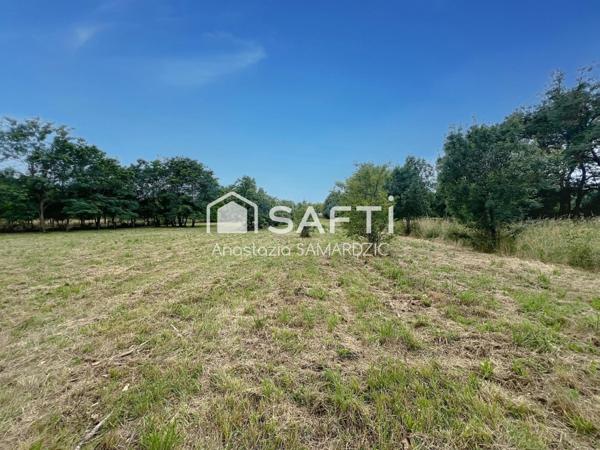 Terrain d’exception à Toulouse : 3 861 m² viabilisé, borné, avec potentiel de construction R+1.