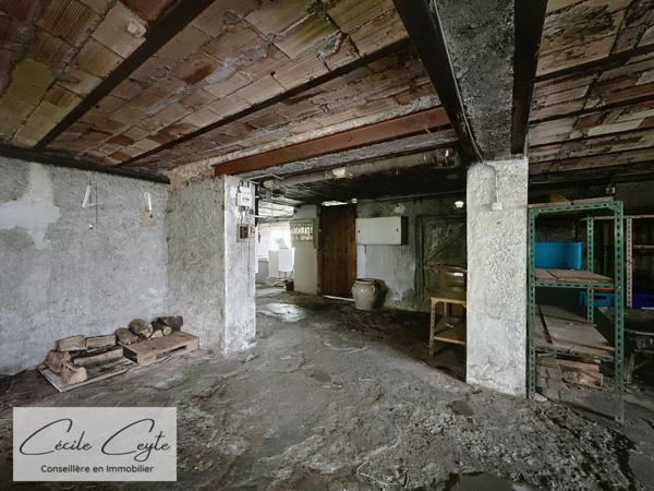 GRENOBLE (38) Bajatière, Maison années 1920 à renover sur un terrain de 800m²