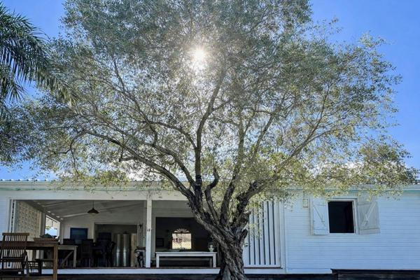 Villa de charme avec annexe - quartier résidentiel