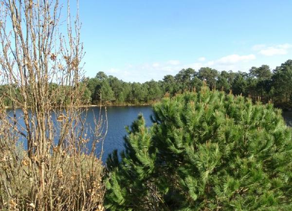 Appartement à vendre    1 pièce • 27 m2 La Teste-de-Buch