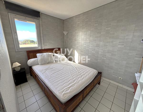 Appartement T2 - Vue Canigou - dernier étage avec terrasse de 30m²