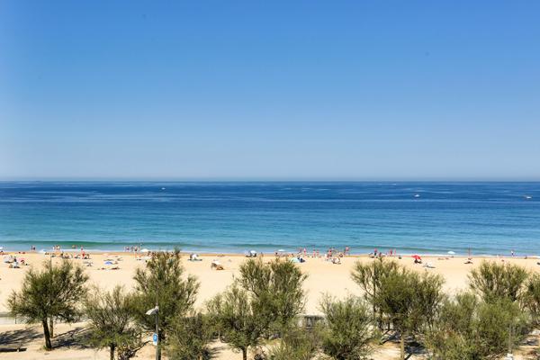 SOORTS HOSSEGOR , Appartement, 1 pièce, 25 m², 249 900 € - Réf : 3901-7765